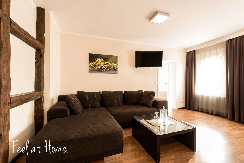 Wohnbereich mit Sofaecke, Fachwerk und Fernseher